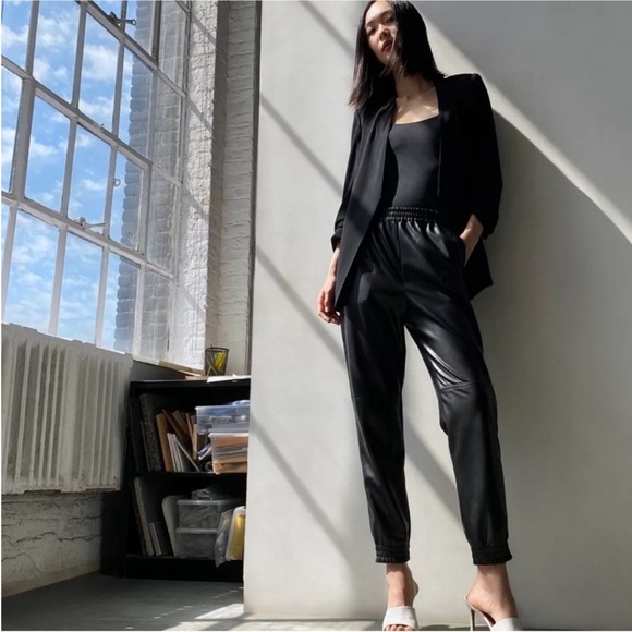 Aritzia Babaton Zedel High Rise Faux vegan Leather Joggers Black size 2XS,NWOT - Picture 1 of 7